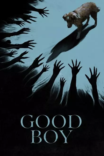 Good Boy Good Boy